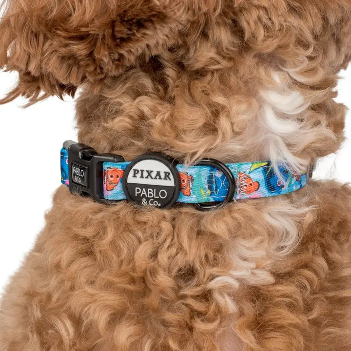 Finding Nemo Dog Collar