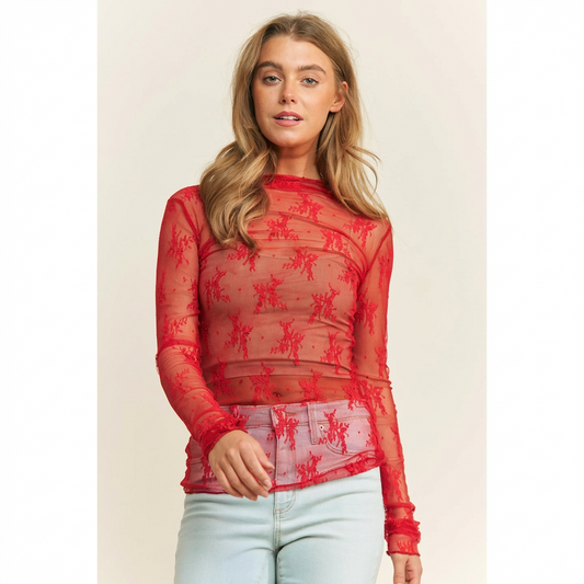 Lace Mesh Long Sleeve Top